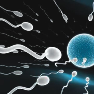 homeopathic medicines for low sperm count