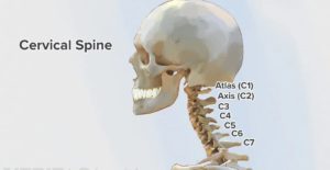 5 Best Homeopathic Medicines for Cervical Spondylosis