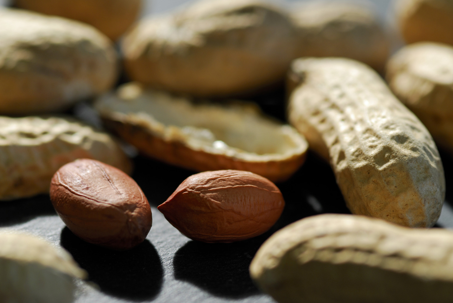 Top Homeopathic Remedies for Allergy Treatment