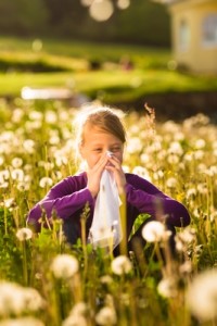 Hay-Fever-Homeopathic-remedies
