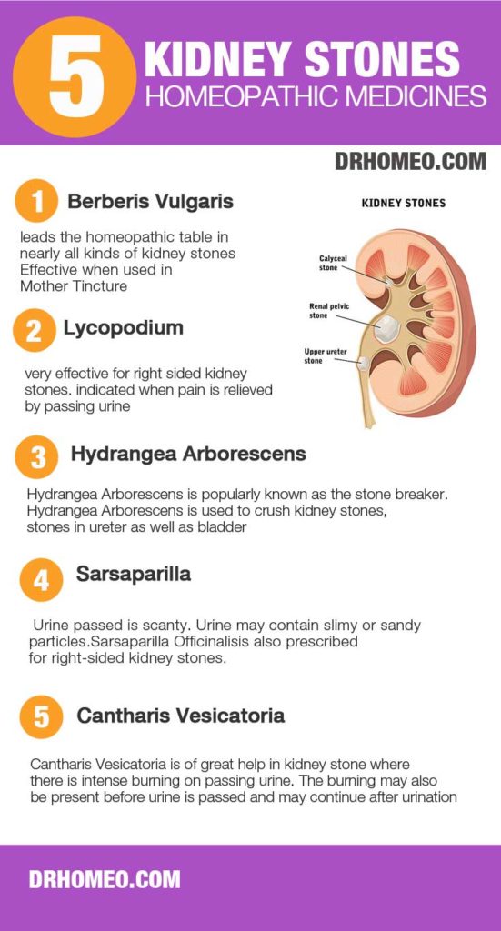 Homeopathic medicines for kidney stone Dissolve Them Fast Naturally