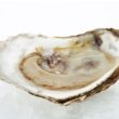 Calcarea Carb